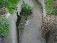 �w�h�������������H